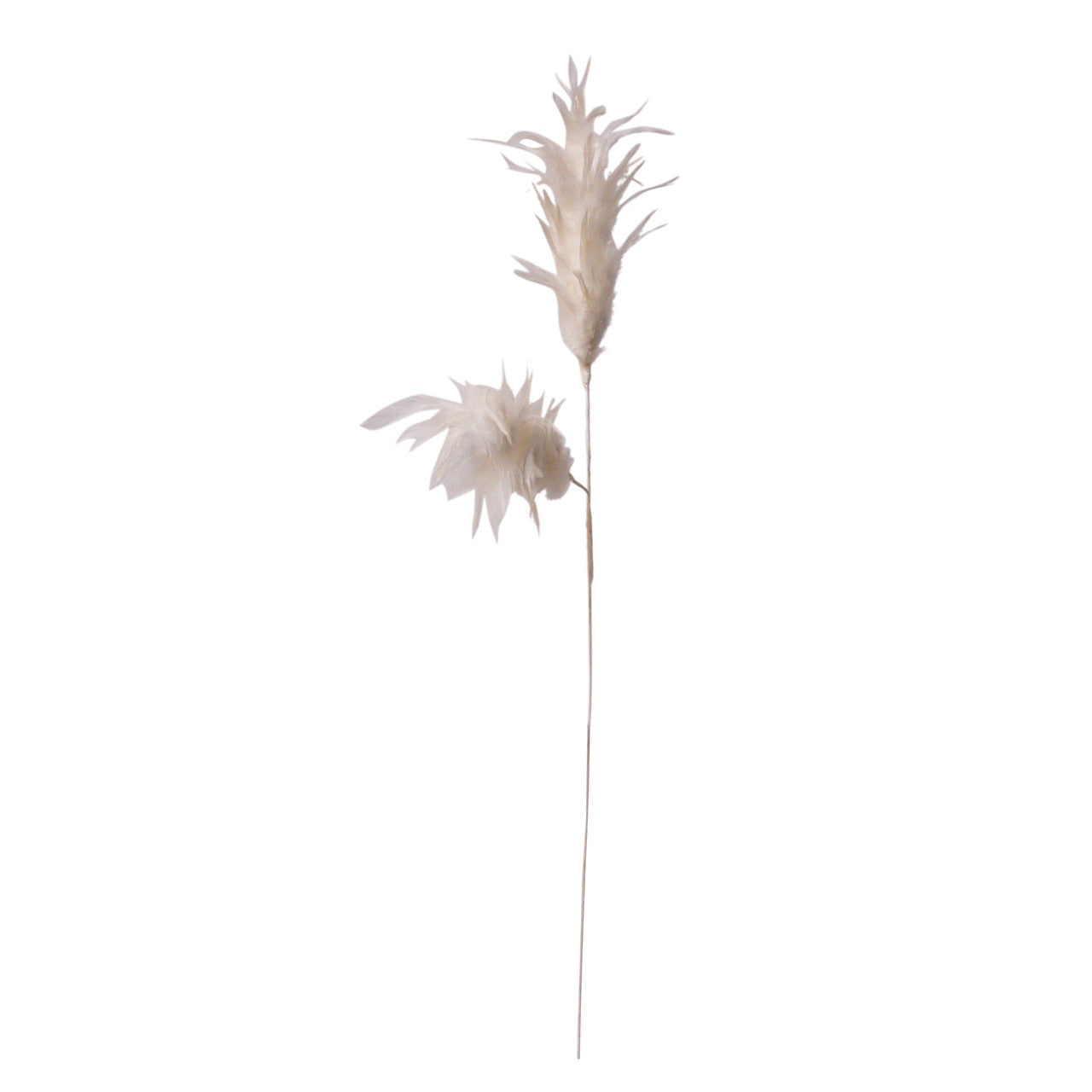 White Feather Pick