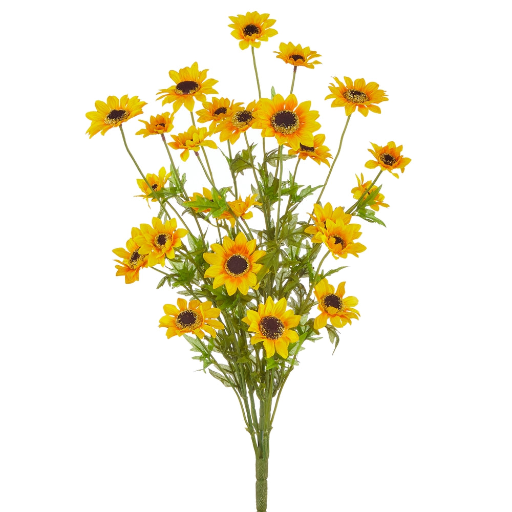 25" Yellow Black-Eyed Susan Bush