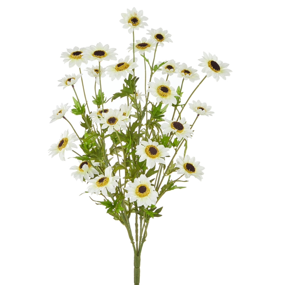 25" White Black-Eyed Susan Bush