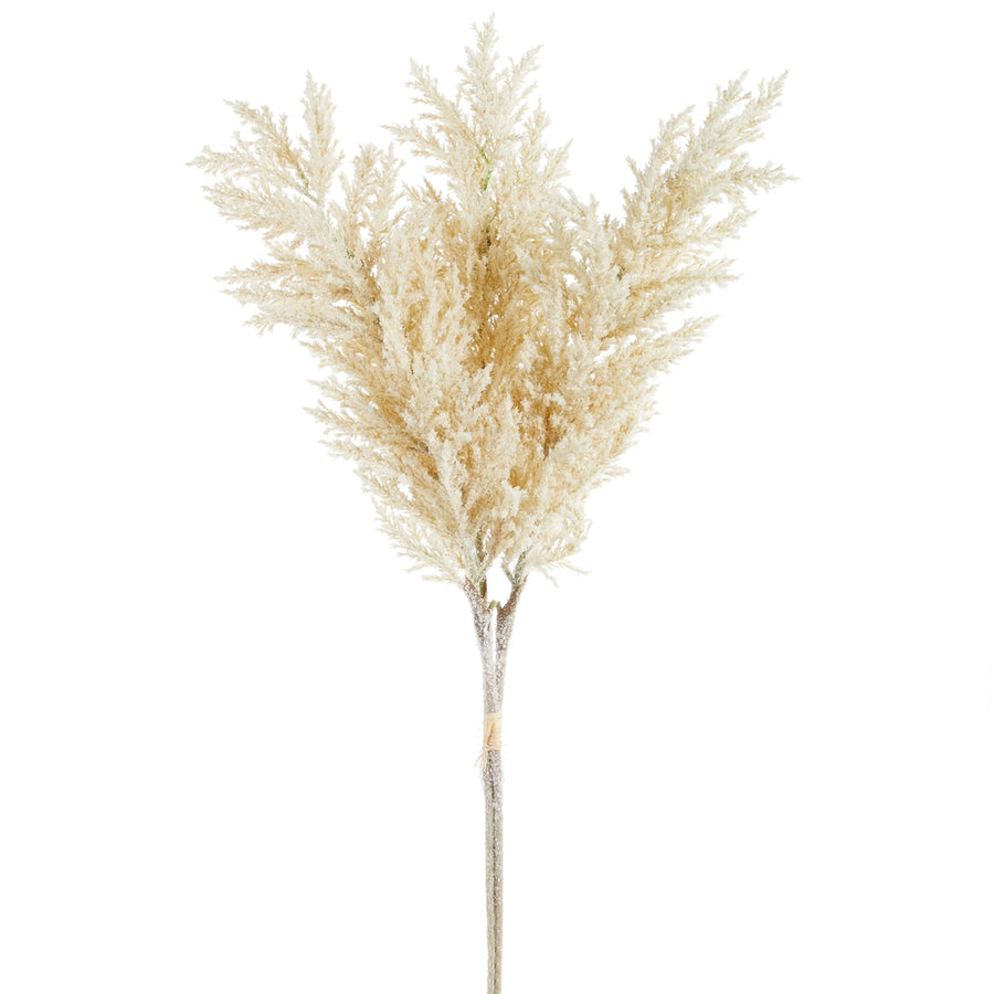 34" Iced Pampas Grass Bundle