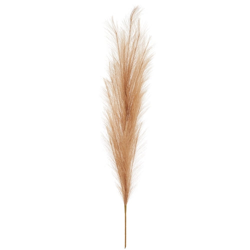 45" Tan Pampas Grass Stem