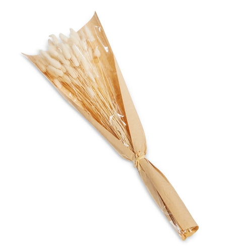 22" Dried Bunny Tails Bouquet