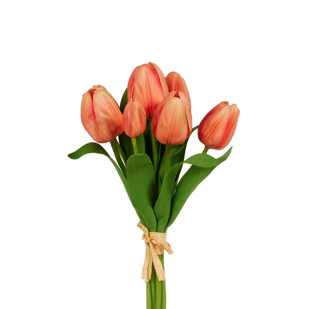12" Coral Tulip Bundle