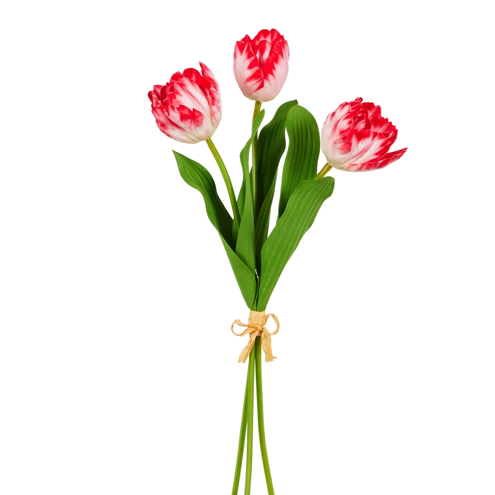 18" Red Tulip Bundle