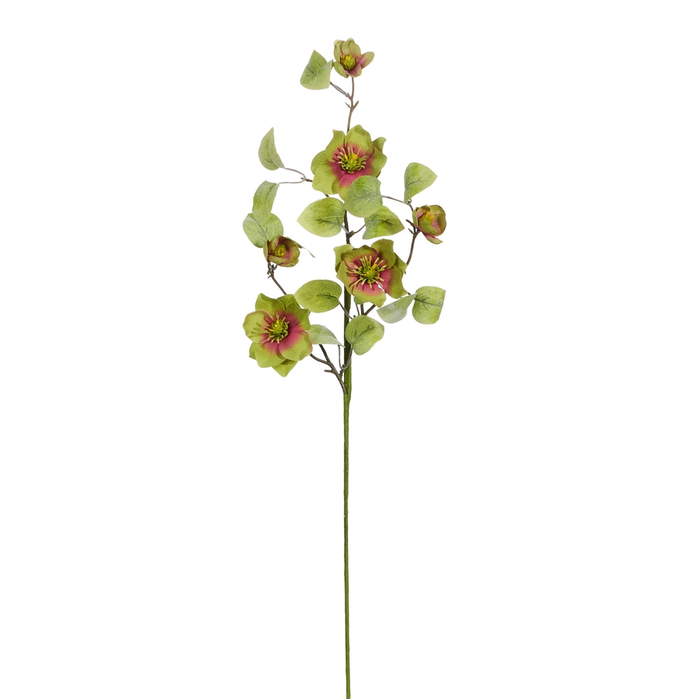 27" Hellebores Spray