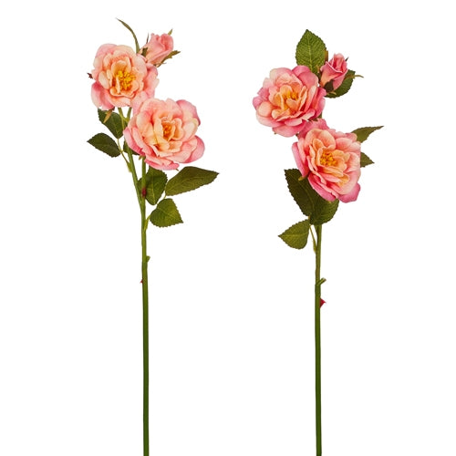 24" Pink Lemon Rose Stem