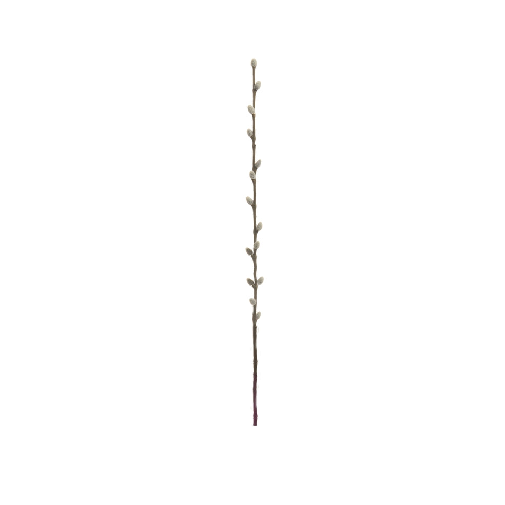 24" Pussy Willow Branch