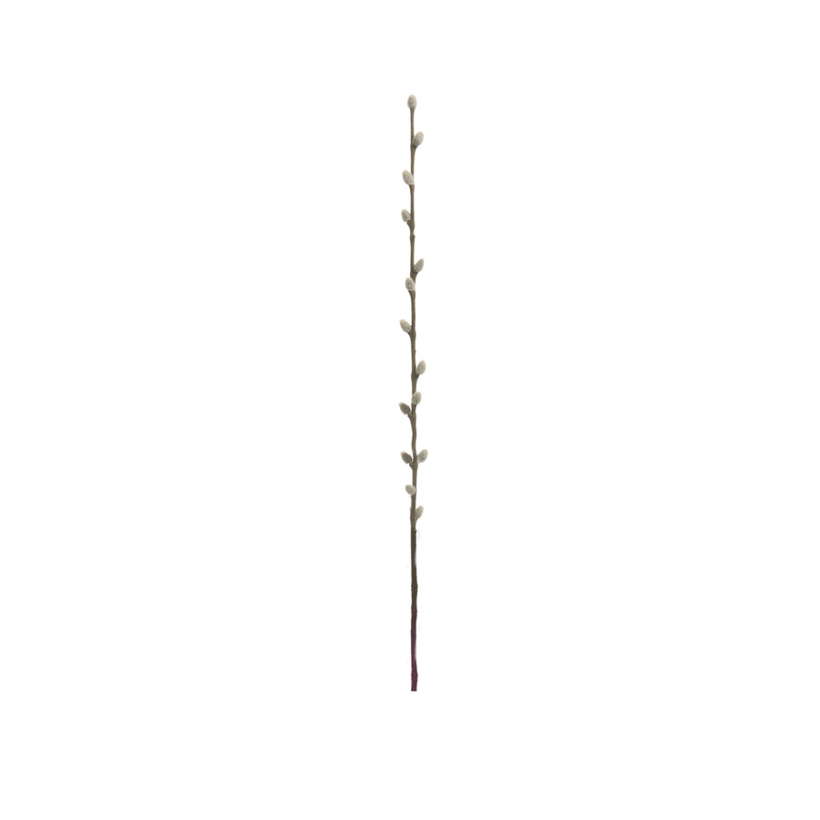 24" Pussy Willow Branch
