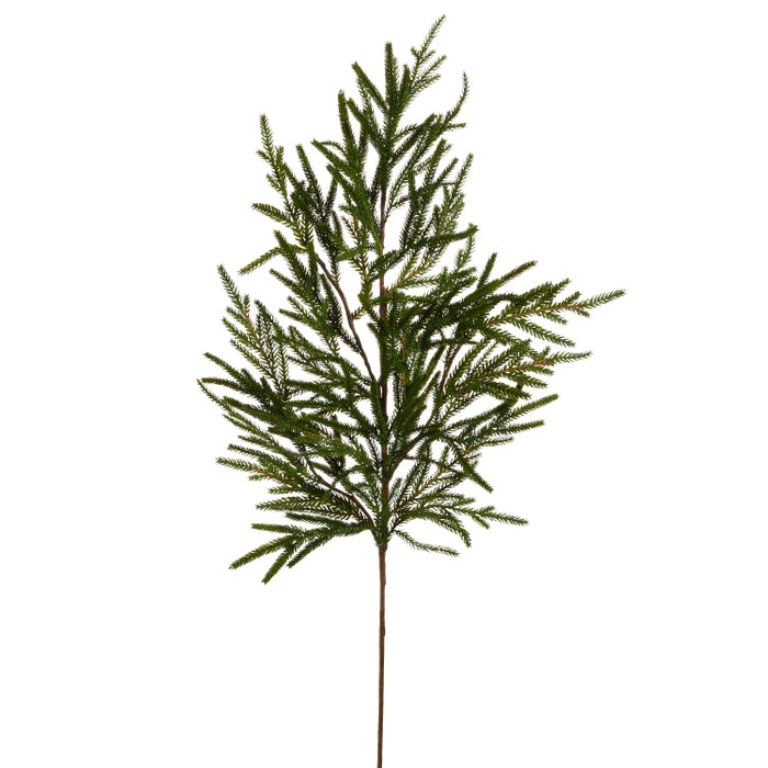 39" Norfolk Pine Branch