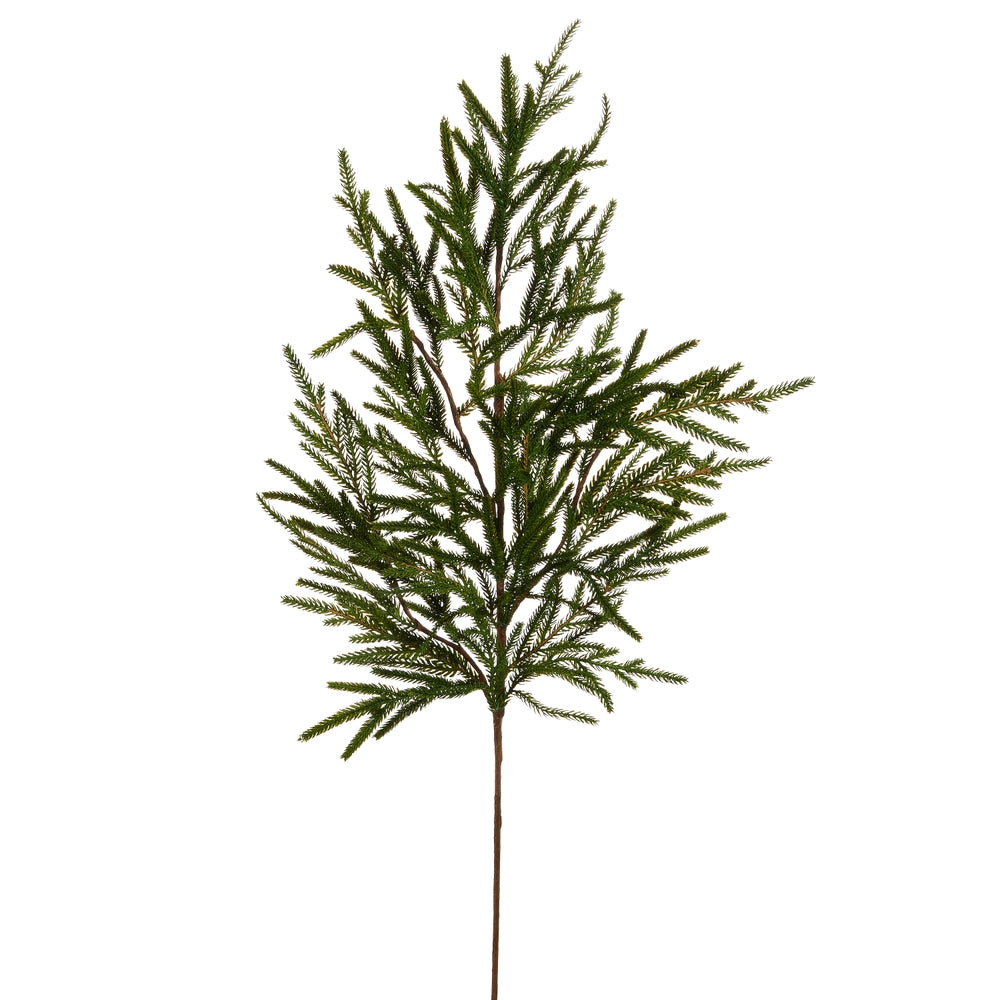 39" Norfolk Pine Branch