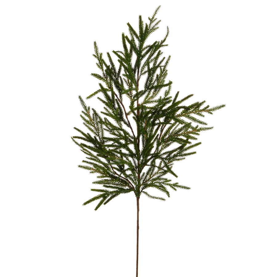 39" Norfolk Pine Branch