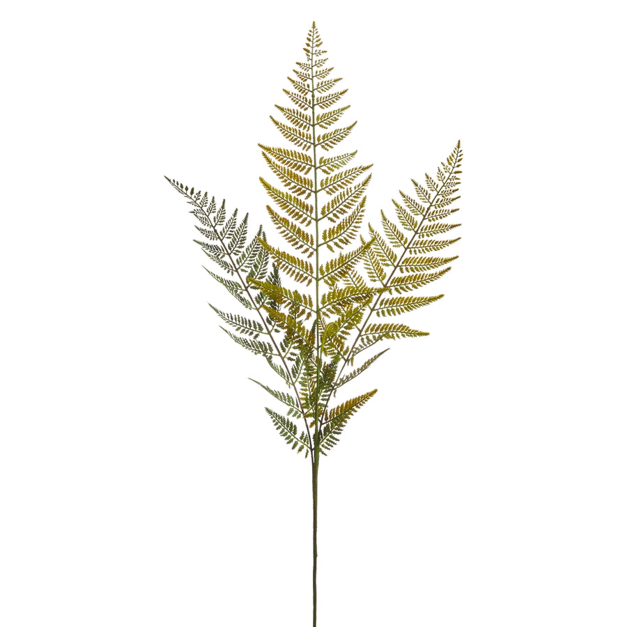 43" Fern Spray