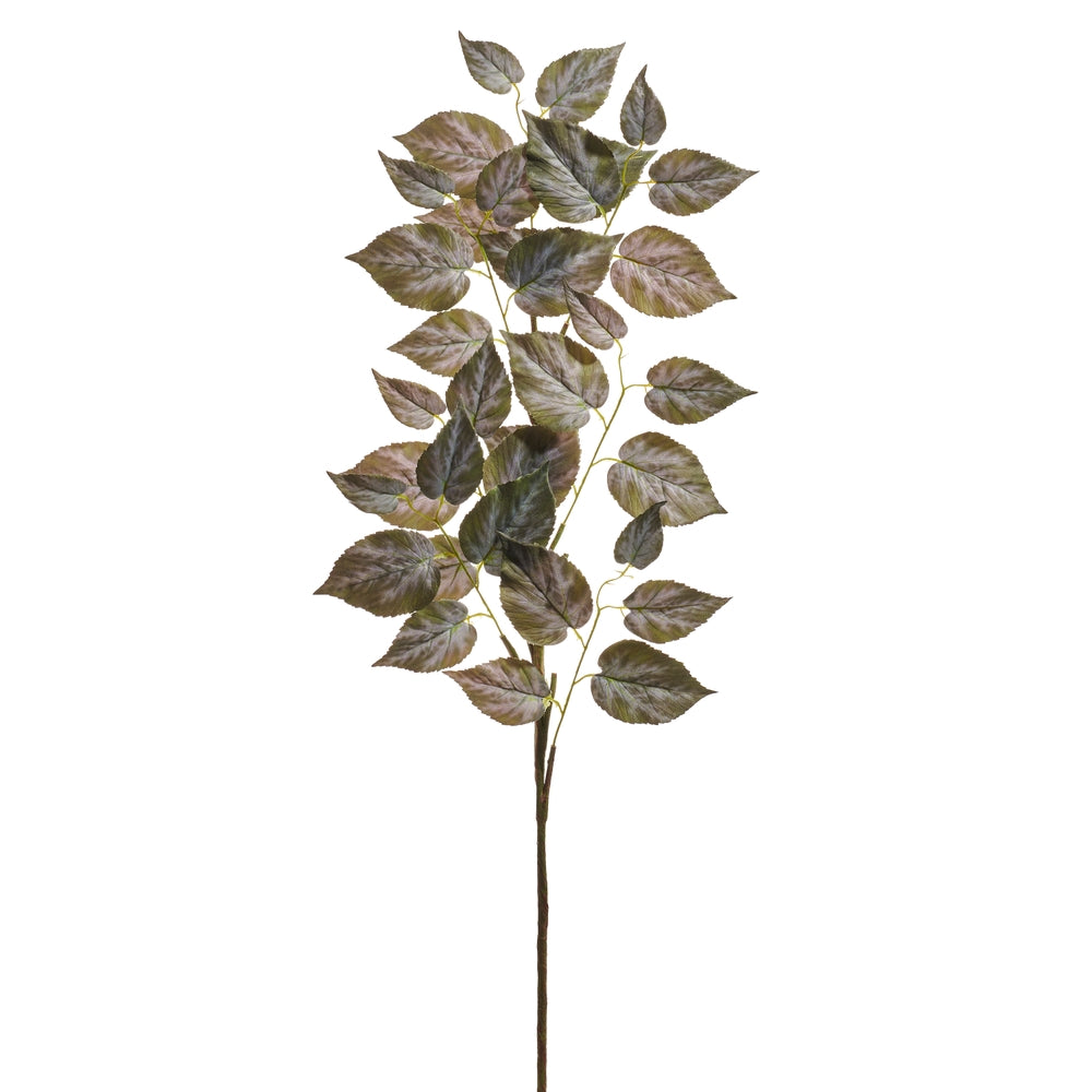 41" Variegated Ivy Spray