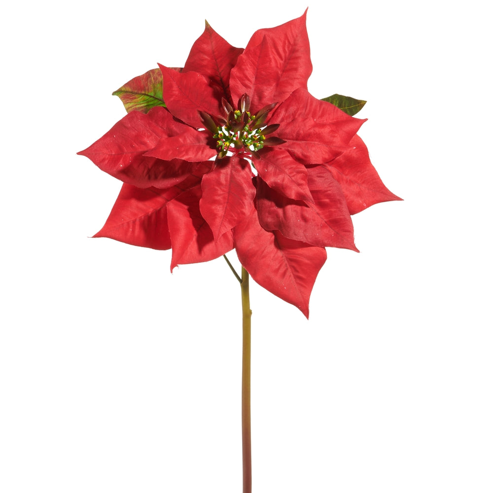 26" Red Poinsettia Stem