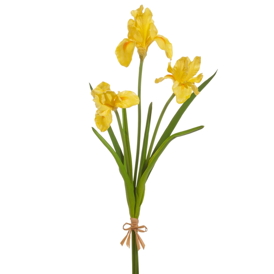 23" Real Touch Yellow Iris Bundle