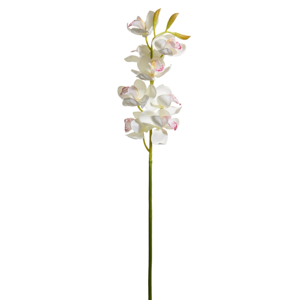 27.5" White Cymbidium Orchid Stem