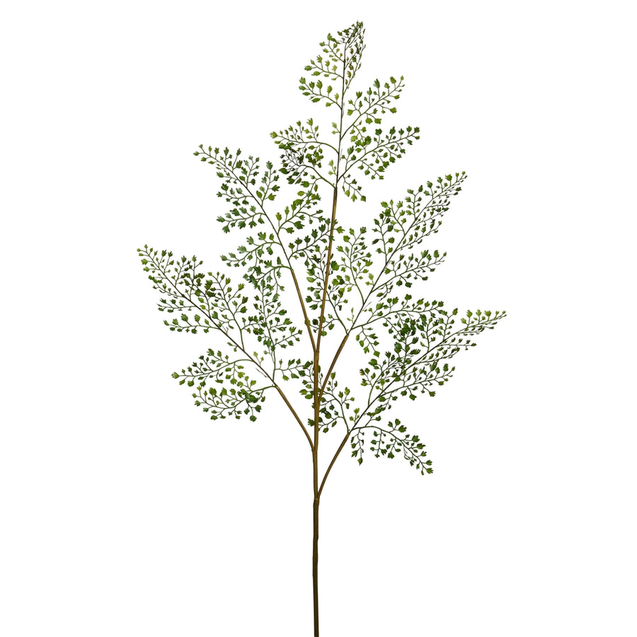 42" Maidenhair Fern Spray