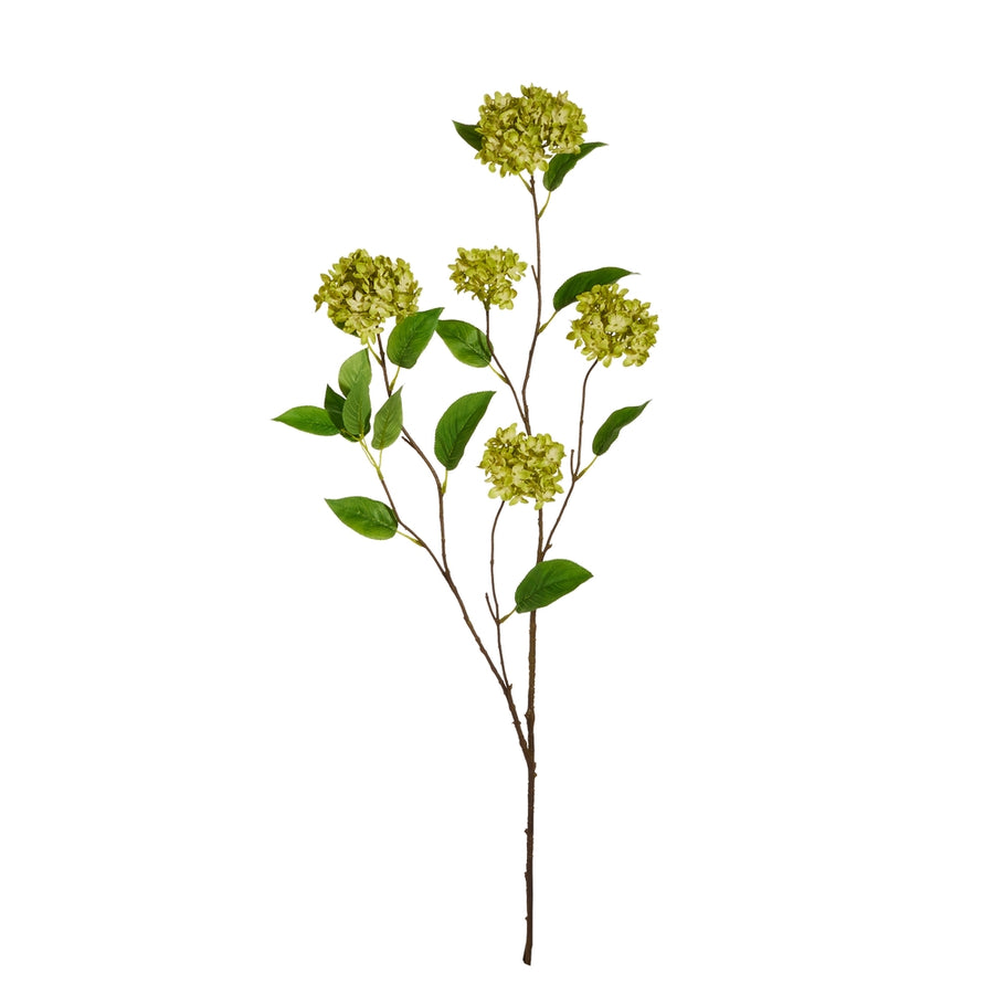 45" Green Snowball Hydrangea Branch