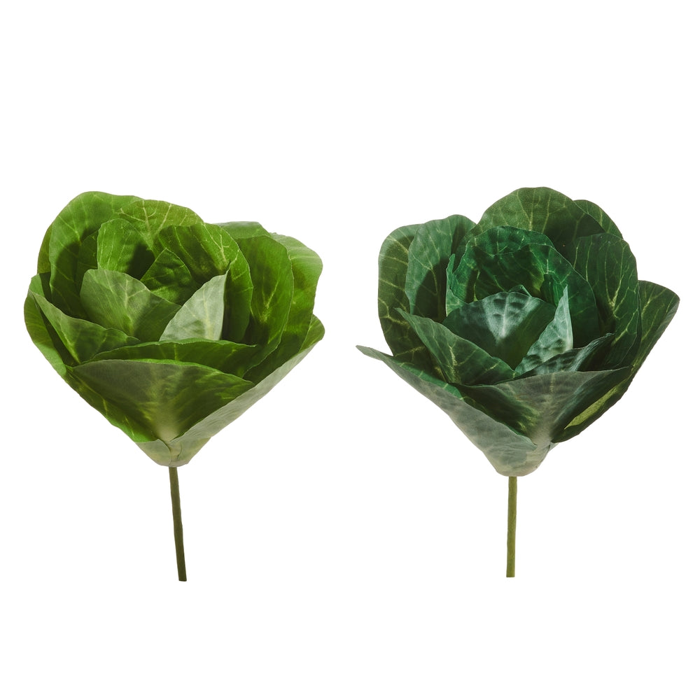 10" Cabbage Pick