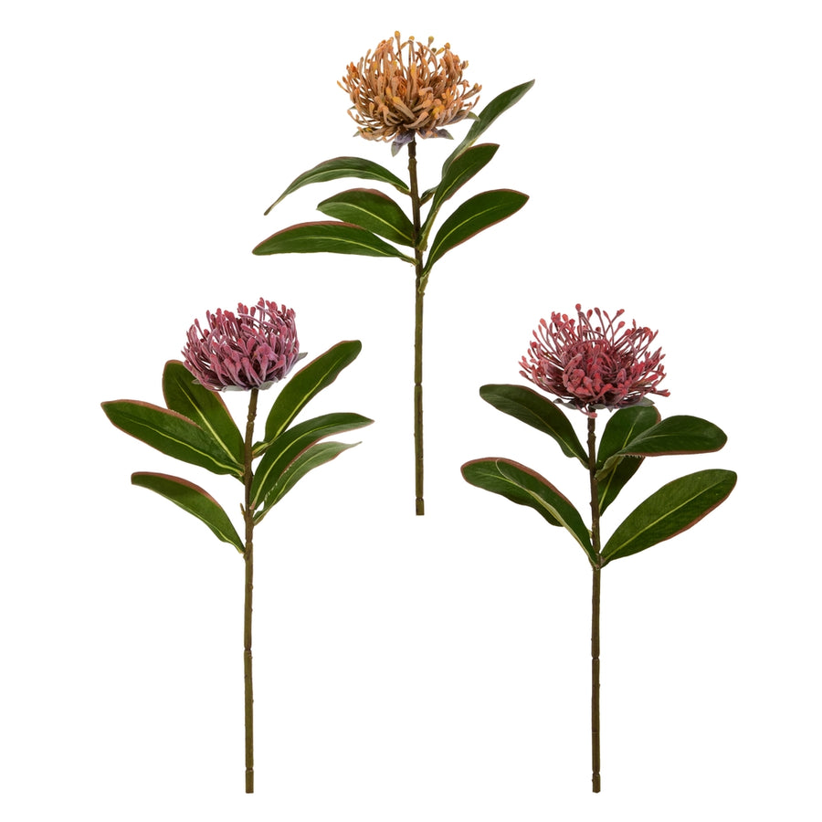 18" Protea Stem