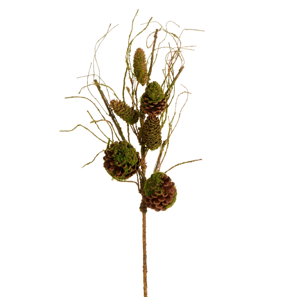 36" Moss Pinecone Branch