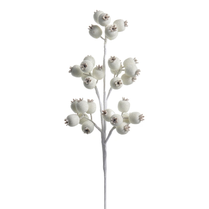 21" Iced White Berry Pod Spray