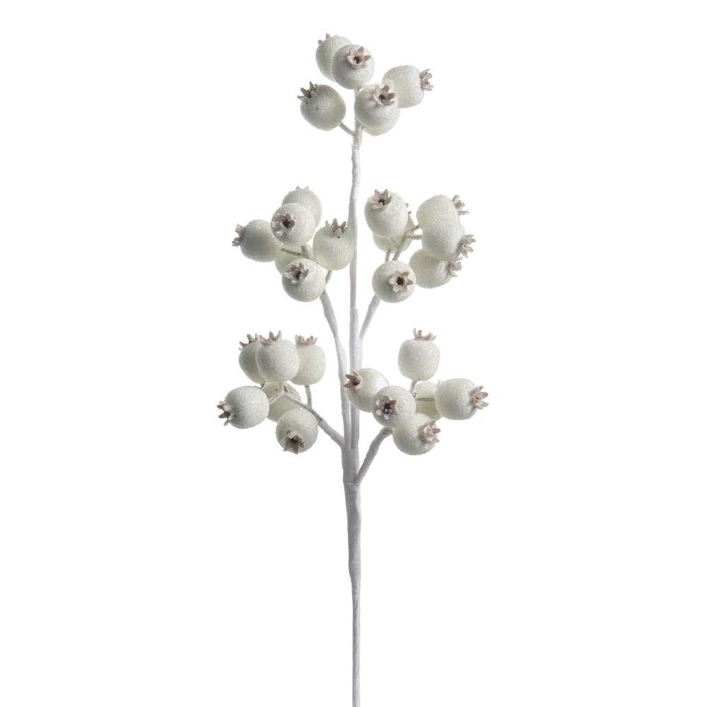 21" Iced White Berry Pod Spray