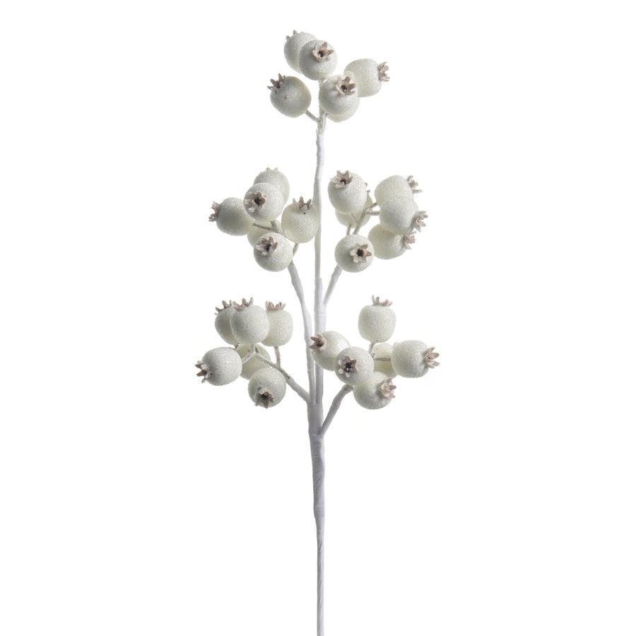 21" Iced White Berry Pod Spray