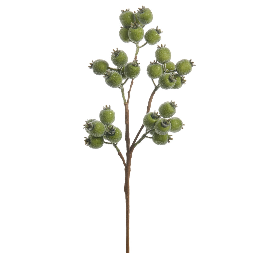 21" Iced Green Berry Spray