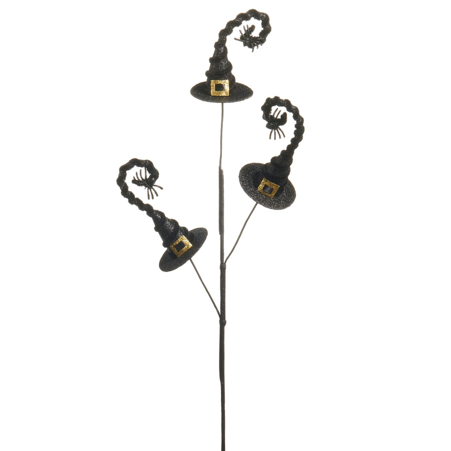 30" Witch Hat Spray