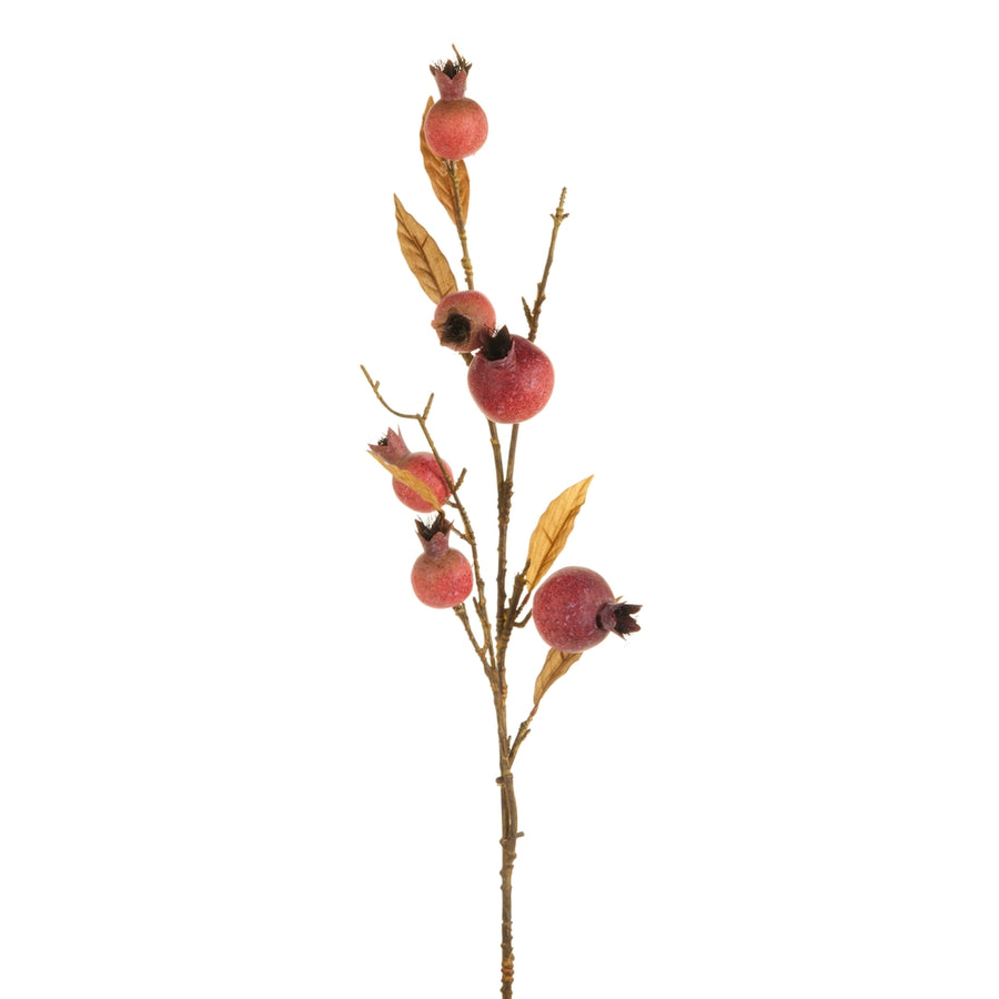 31" Harvest Pomegranate Branch