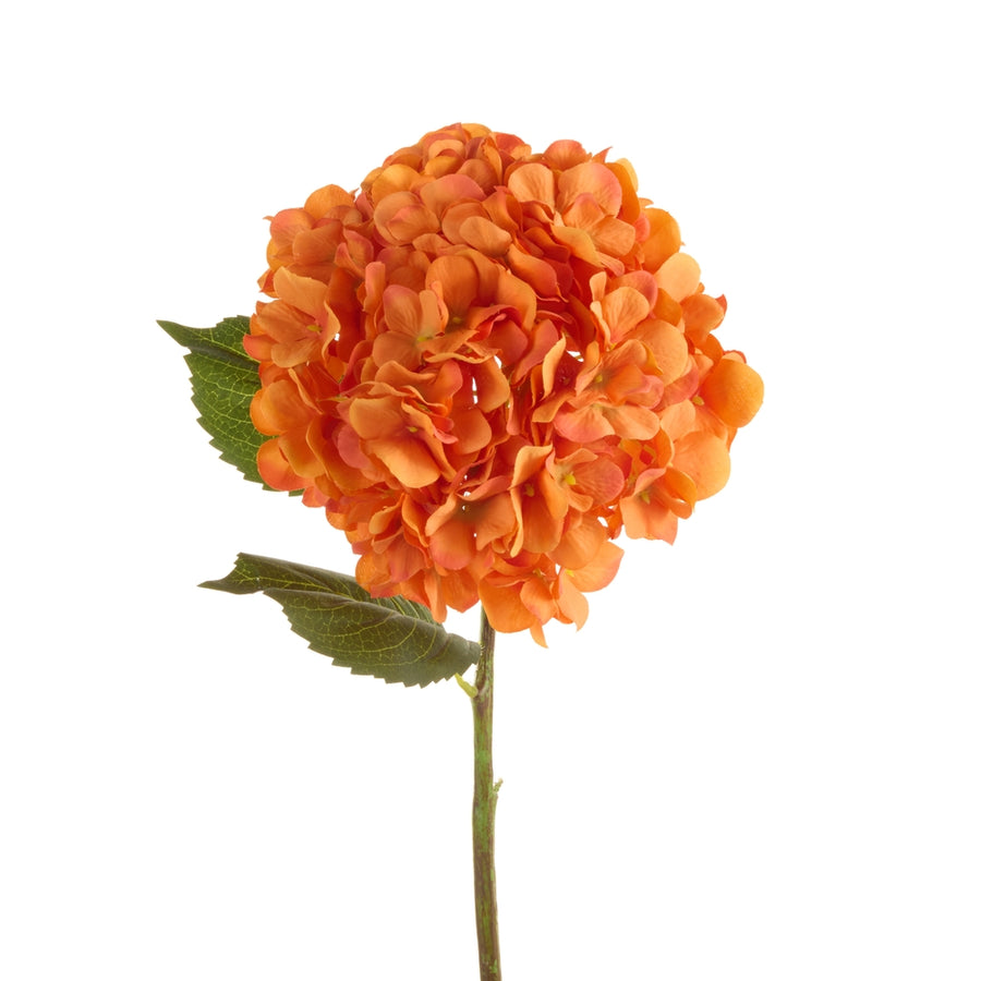 26" Orange Hydrangea Stem