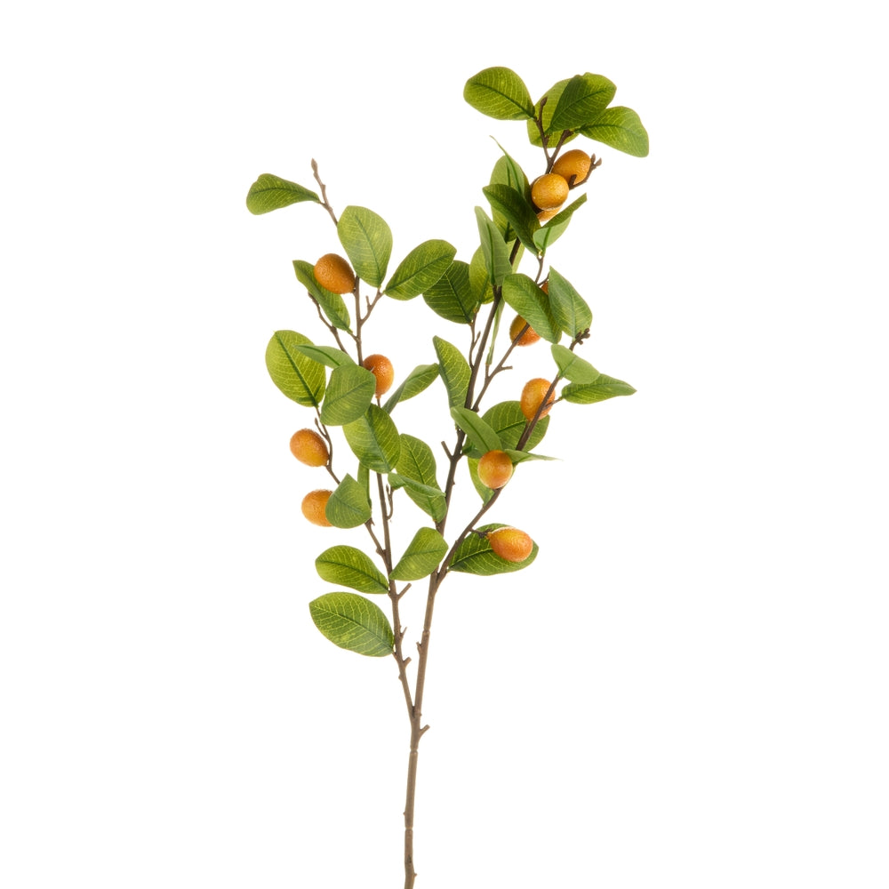 37" Autumn Kumquat Branch