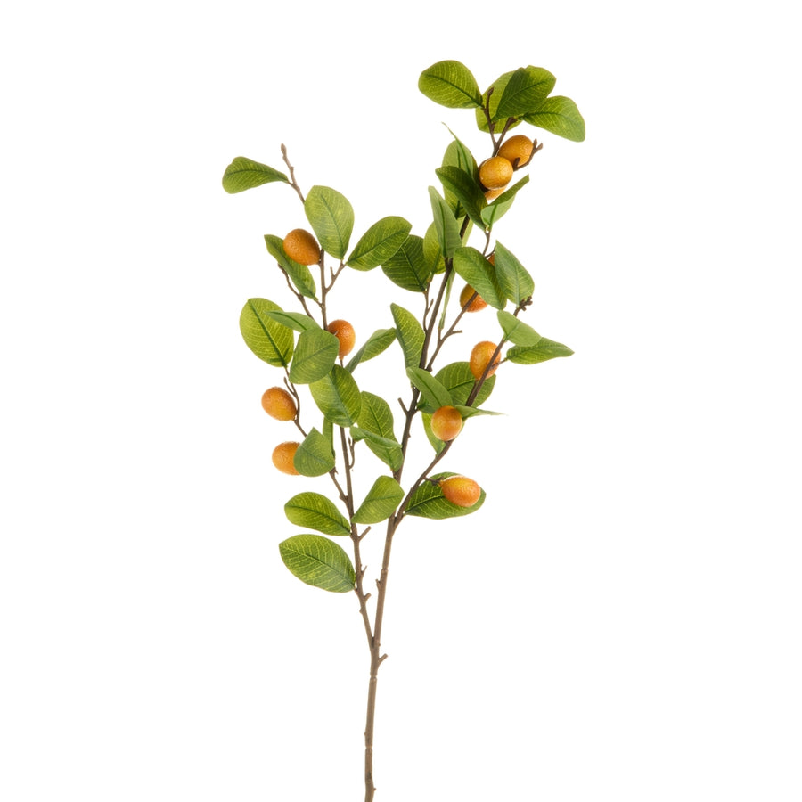 37" Autumn Kumquat Branch