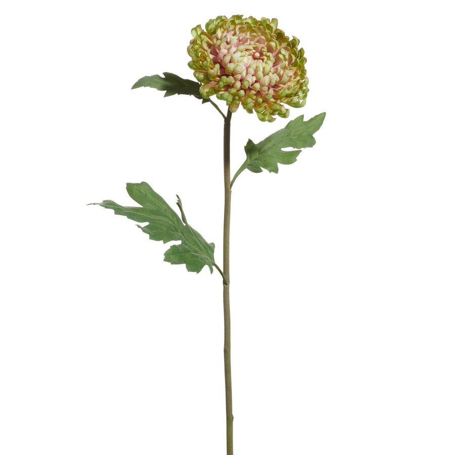 23" Green Mum Stem