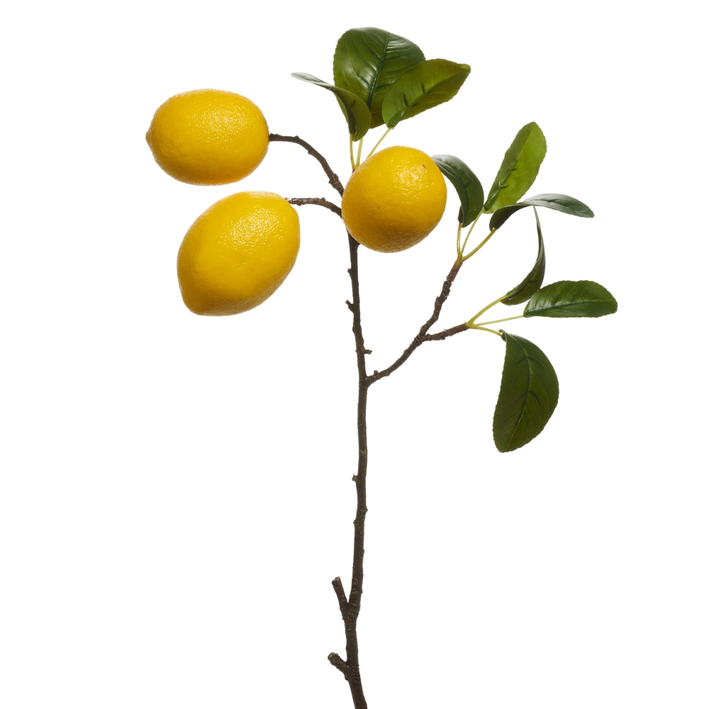 20" Lemon Spray