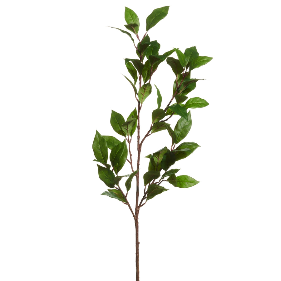 34.5" Ligustrum Leaf Spray