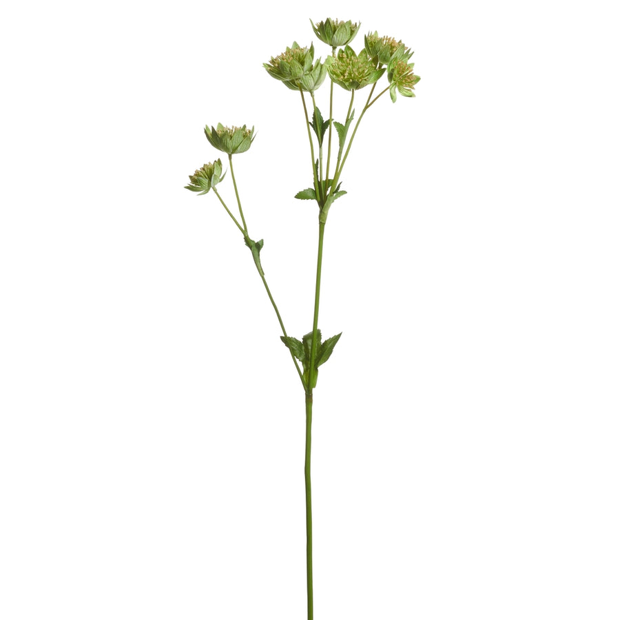 22.5" Green Purple Pod Spray