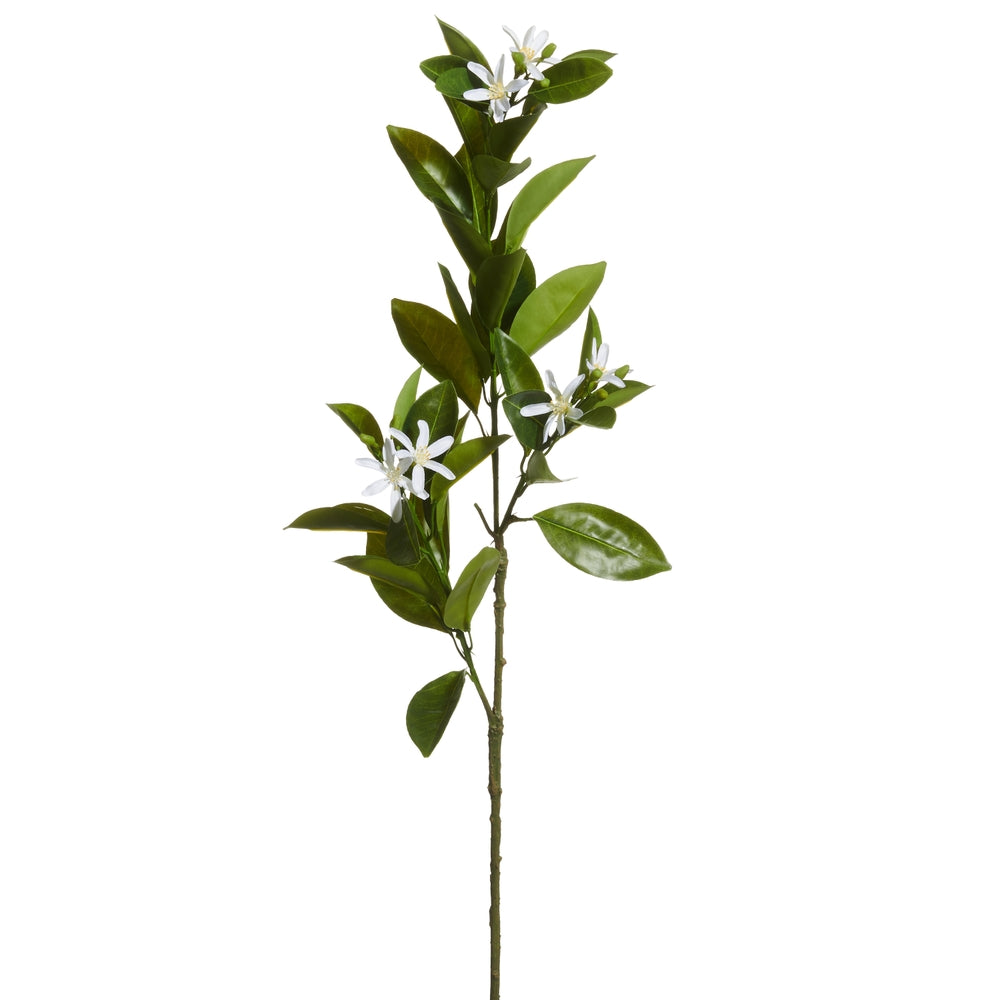 31.5" Lemon Blossom Spray