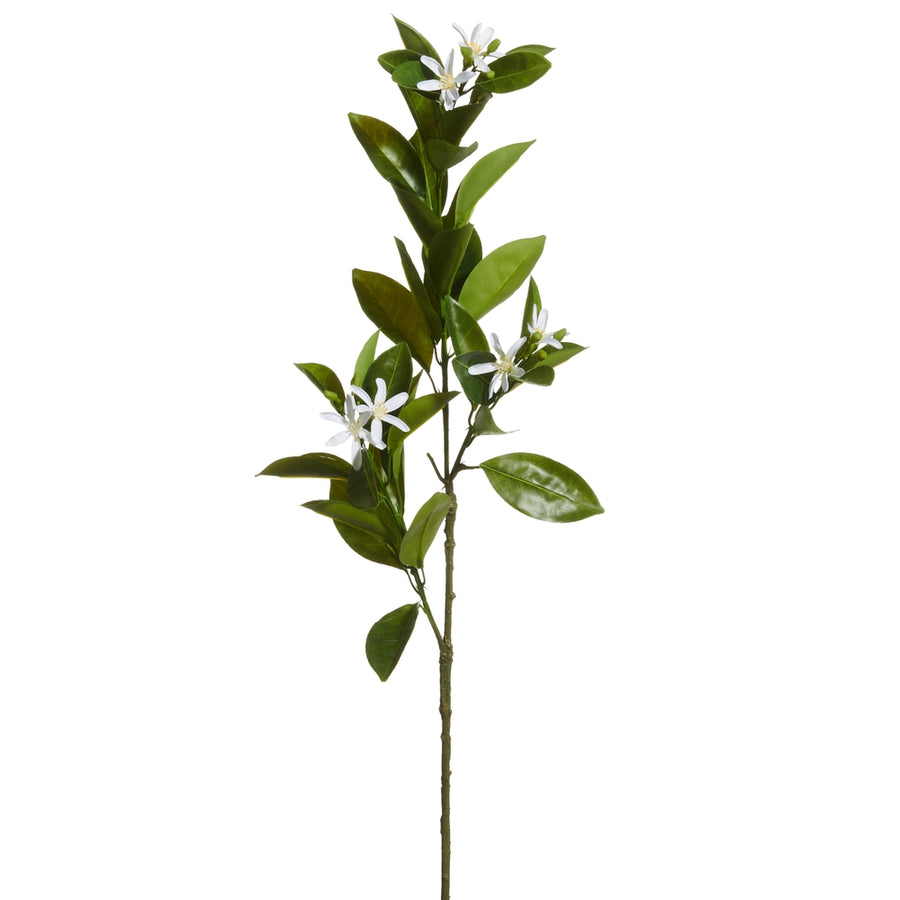 31.5" Lemon Blossom Spray