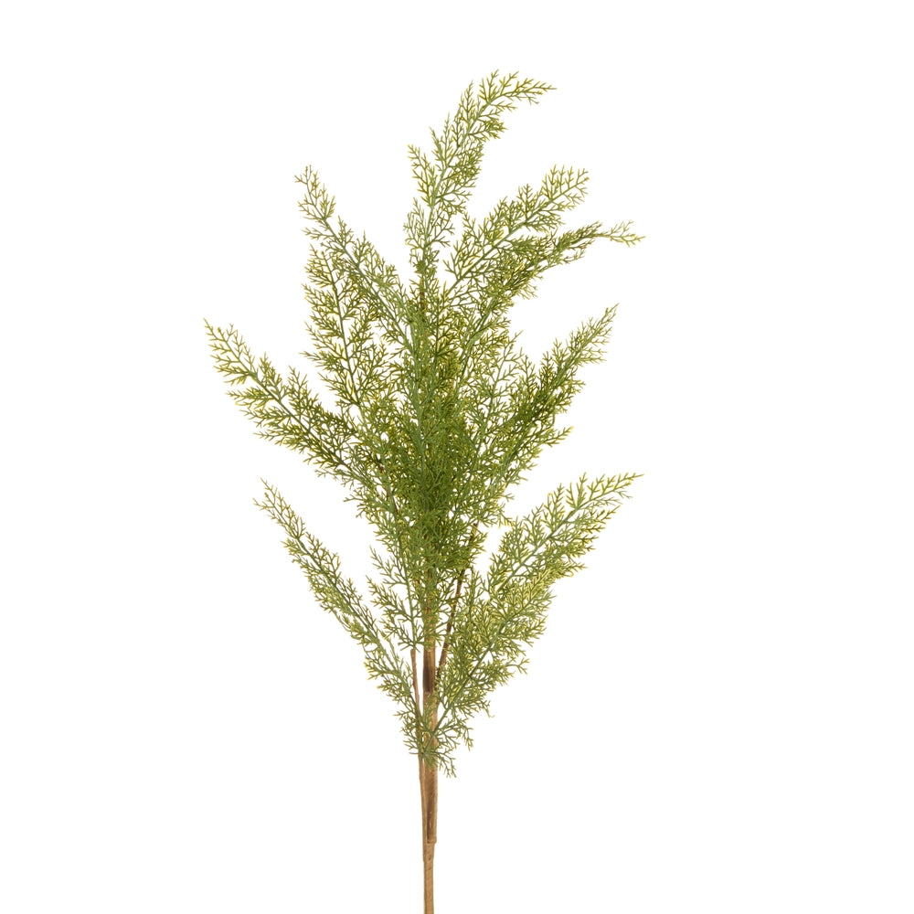 48" Cedar Branch