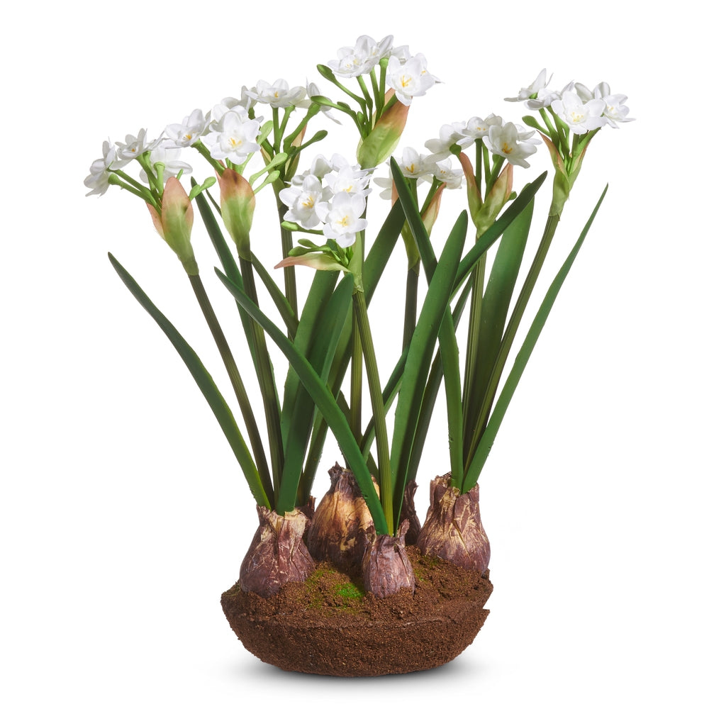 15" Narcissus Drop In