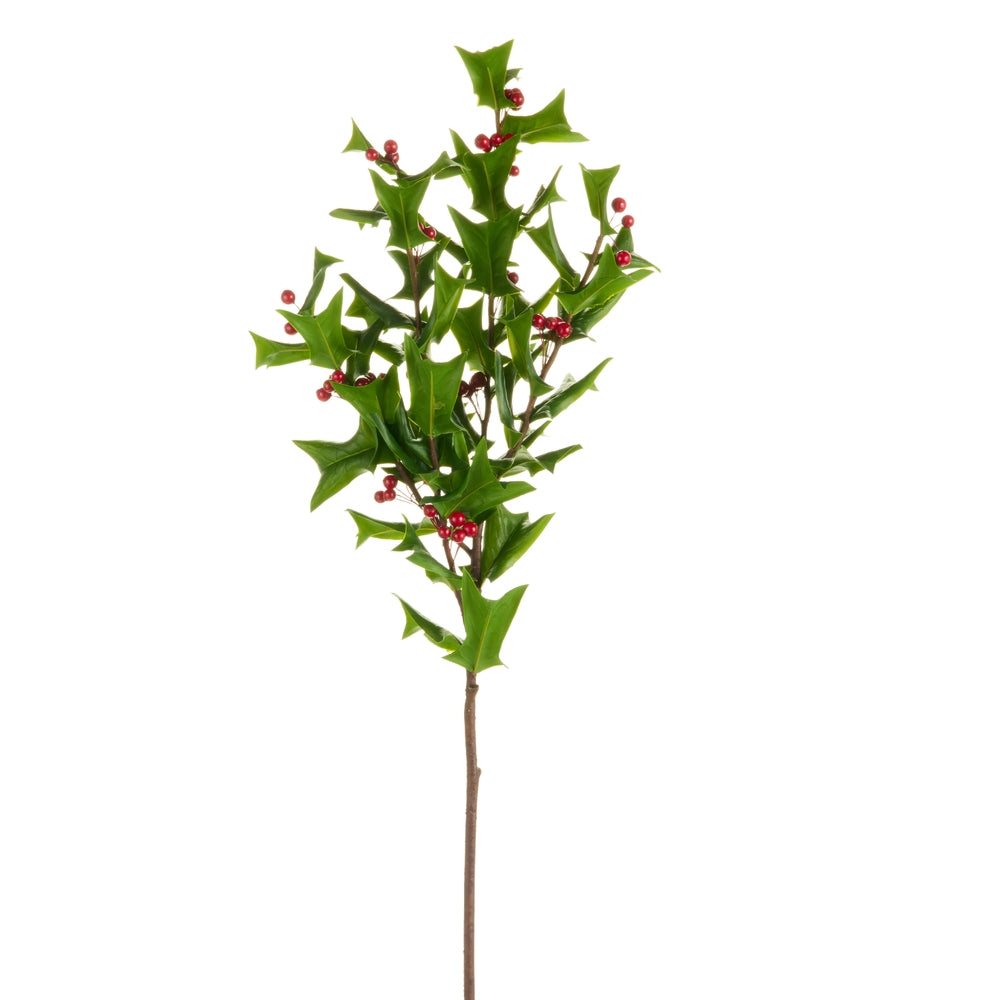 39" Holly Branch