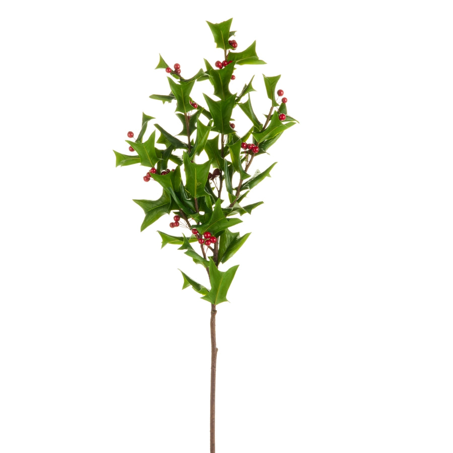 39" Holly Branch