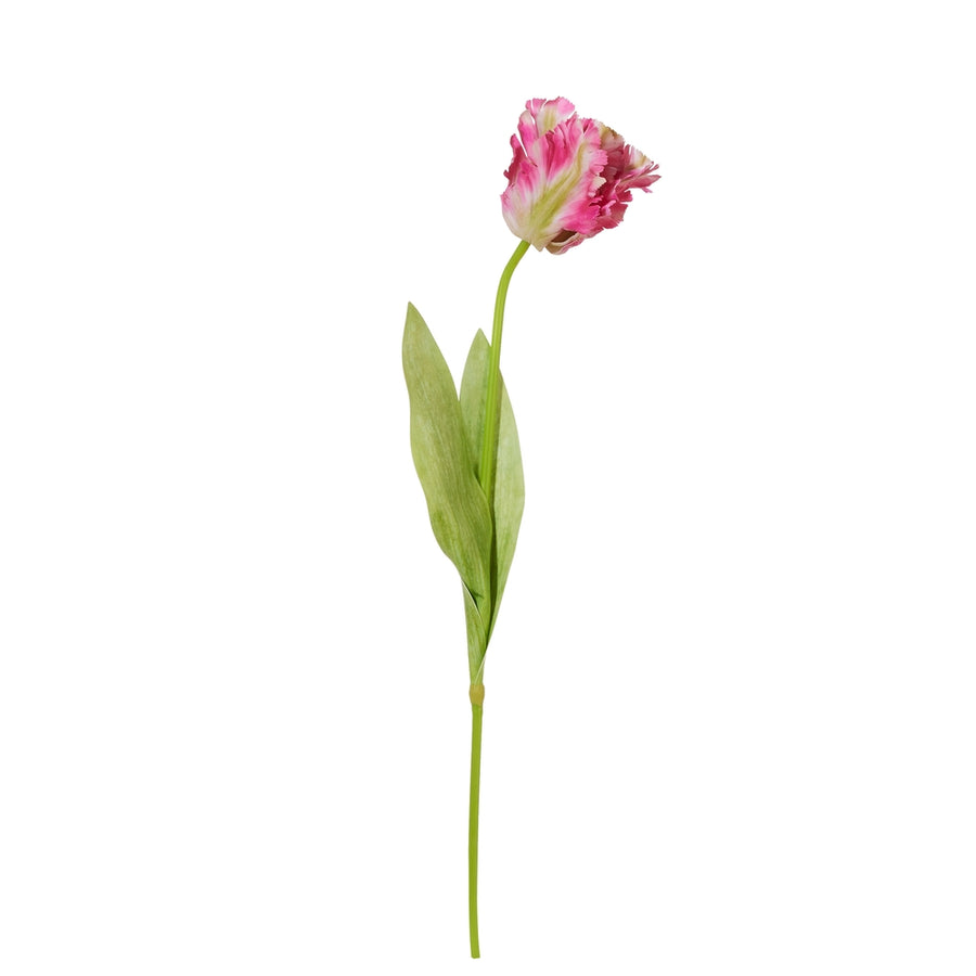 28" Real Touch Pink Parrot Tulip Stem