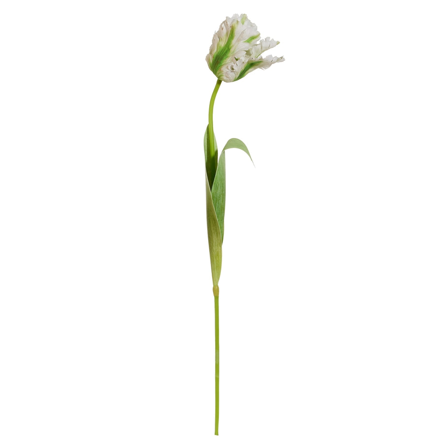 27" Real Touch White Parrot Tulip Stem