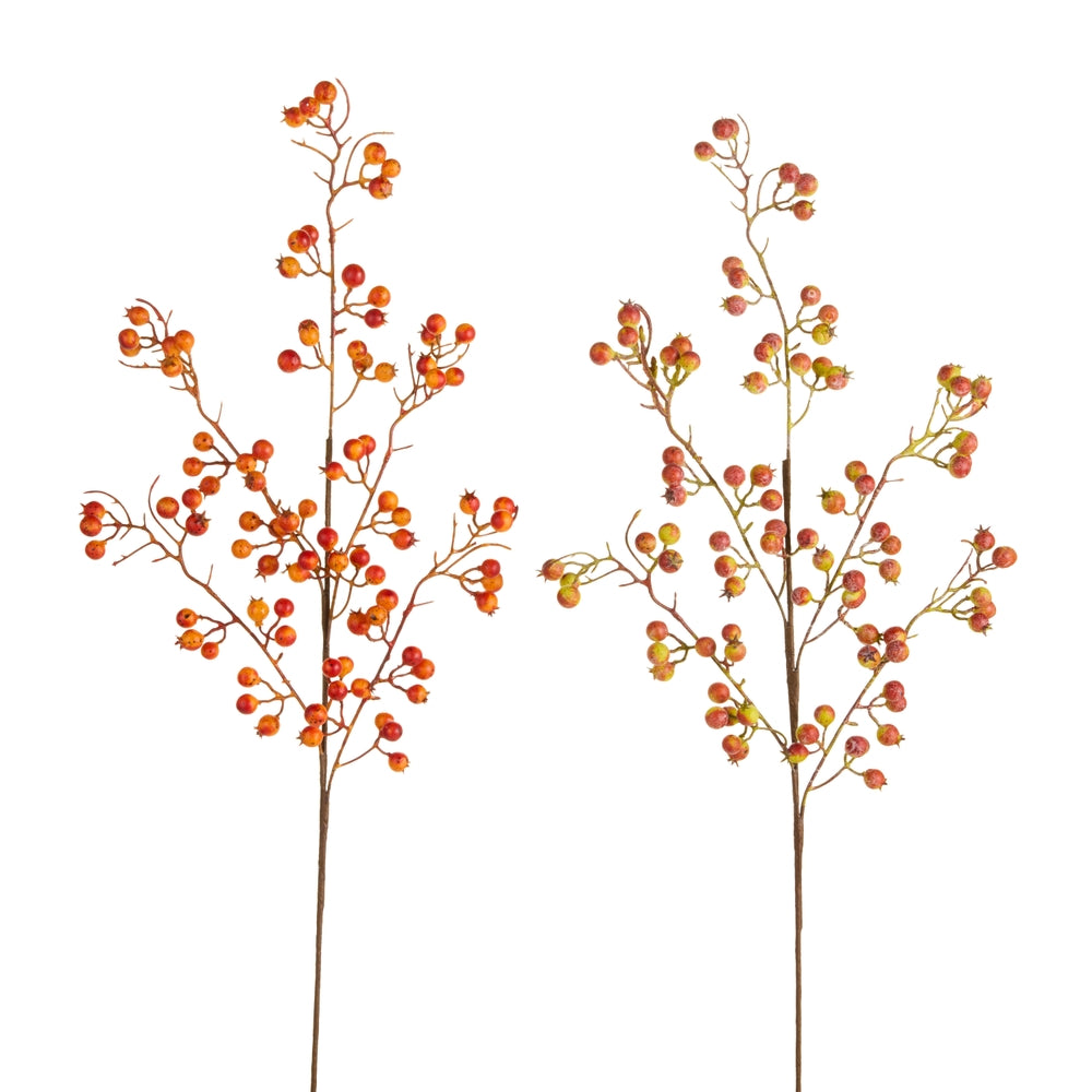 33" Rosehip Spray