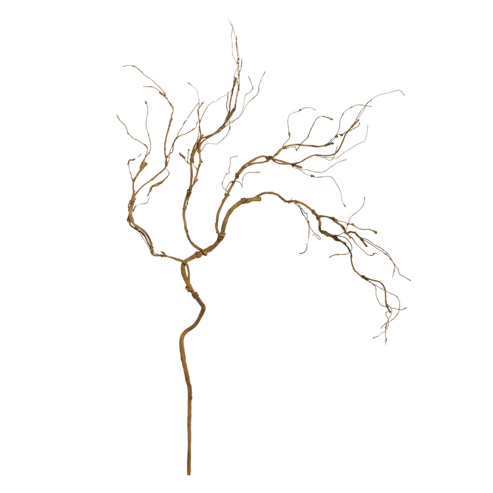 40" Curly Willow Branch