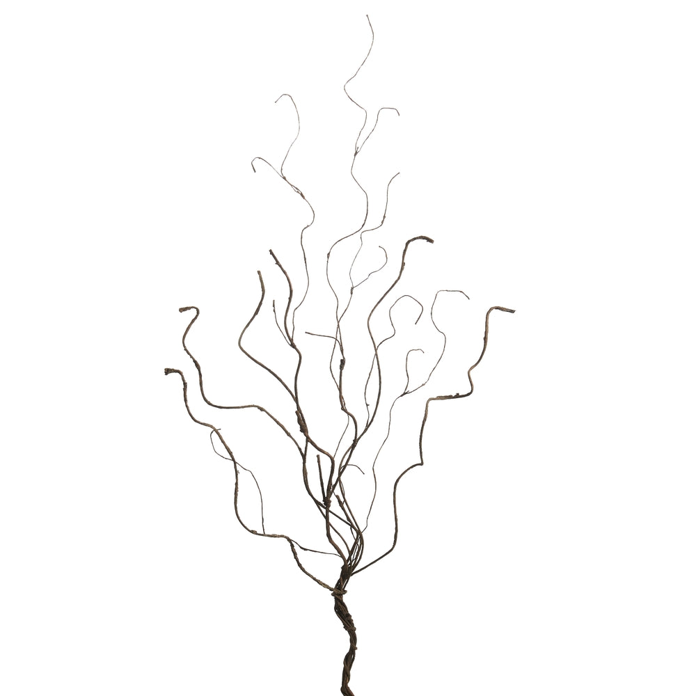 36" Natural Branch