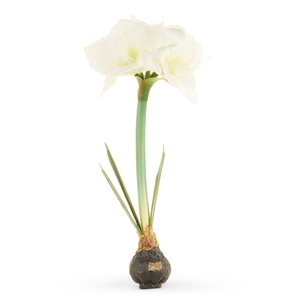 19" Real Touch White Amaryllis Bulb